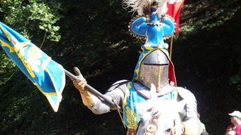 综合格斗赛场焦点！阿根廷队对阵巴西队，年轻新星表现惊艳，未来可期